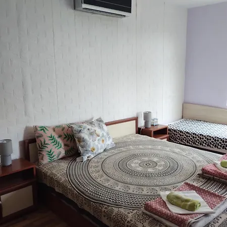 ками Πανσιόν