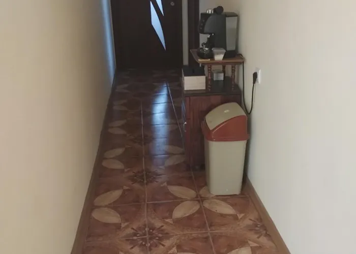 Πανσιόν ками